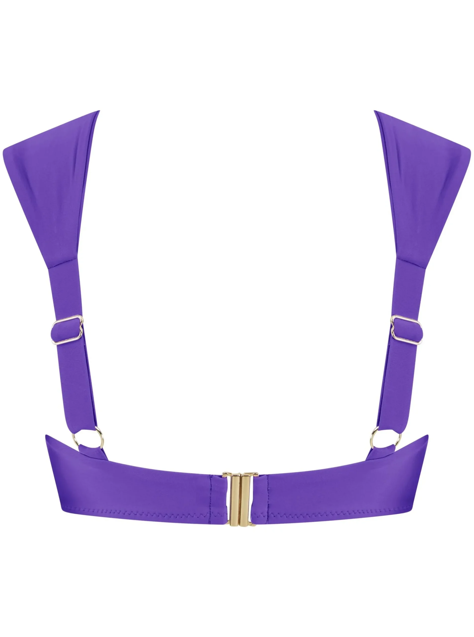 Halo Salinas Bikini Top In Indigo Purple